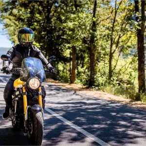 Un motard en casque et blouson de cuir roule sur une route sinueuse bordée d'arbres au soleil.