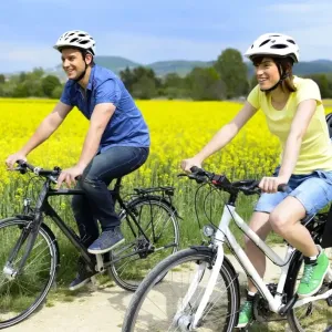 Un couple et un enfant dans un siège sécurisé font une balade à vélo le long d'un champ de fleurs.
