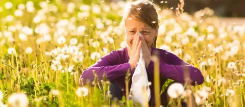 Une jeune fille éternue dans un mouchoir au milieu d'un champ de pissenlits.