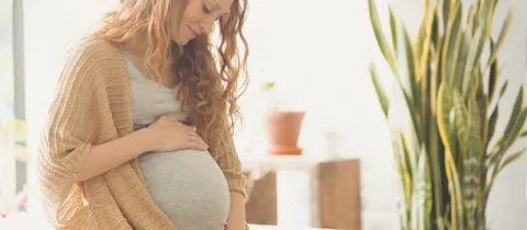 Une femme enceinte au sourire doux, tenant son ventre arrondi à l'intérieur, avec une plante en arrière-plan.