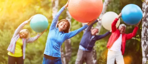 Un groupe de personnes âgées s'étire avec des ballons de fitness colorés dans un parc, entouré d'arbres et de lumière naturelle.