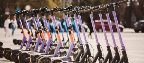 Une rangée de trottinettes violettes est alignée sur la rue.