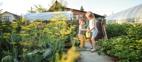 Deux jeunes enfants jouent avec un arrosoir dans un grand jardin potager ensoleillé, près de cultures et de serres.