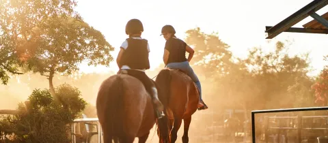 Deux cavaliers à cheval vus de dos, évoluant dans un centre équestre baigné par la lumière dorée du soleil couchant.