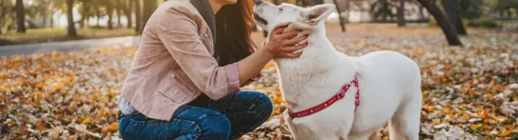 Une femme caresse un chien blanc dans un parc couvert de feuilles mortes en automne.