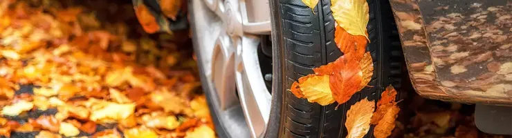 Gros plan d'un pneu de voiture sur une route recouverte de feuilles mortes automnales oranges et jaunes.