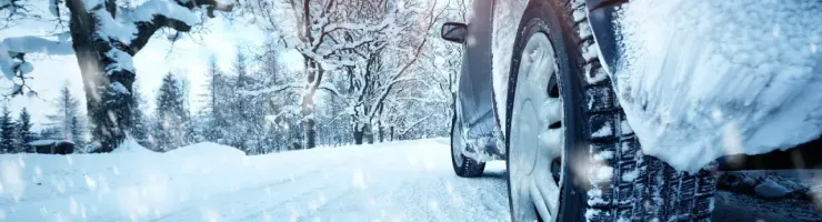 La roue arrière d'une voiture est recouverte de neige sur une route enneigée avec des arbres également enneigés.