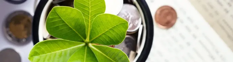 Une jeune pousse verte dans un pot rempli de pièces de monnaie, symbolisant l'épargne responsable.