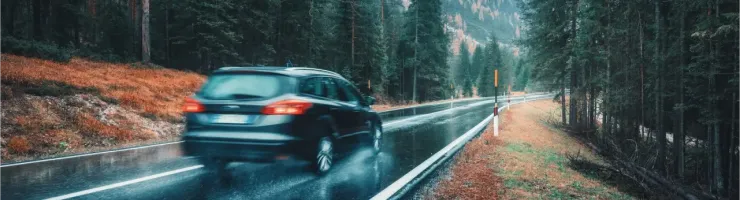 Un break foncé roule sur une route mouillée et bordée de pins, dans un paysage montagneux brumeux.