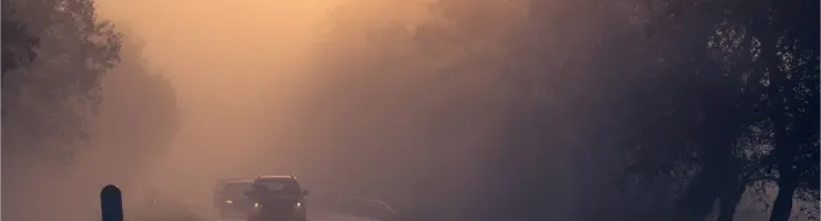 Une route rurale brumeuse et éclairée par une lumière dorée, avec des voitures s'approchant dans le brouillard.