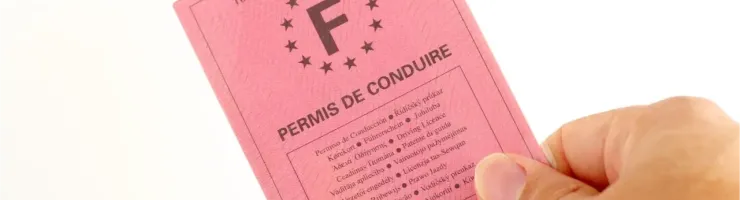Une main tient un permis de conduire français rose, affichant les étoiles de l'UE et les informations.