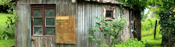 Une vieille cabane de jardin ou abri en bois délabré dans un environnement vert et luxuriant.