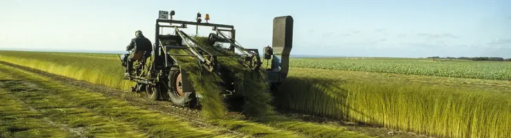 Un tracteur labourant un champ, avec des rangées de terre fraîchement retournée en arrière-plan.
