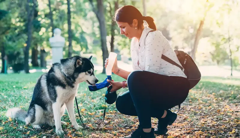 Femme donnant à boire à son chien