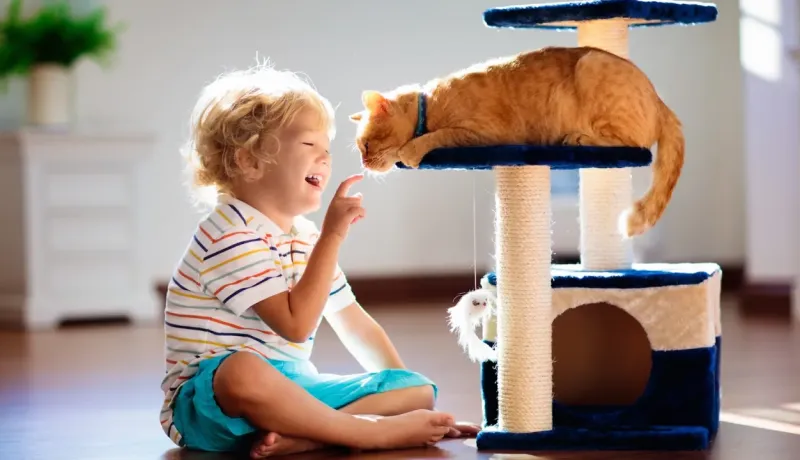 Un jeune garçon souriant interagit avec un chat roux allongé sur un arbre à chat.