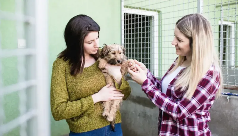 Deux femmes souriantes tiennent un petit chien ensemble près d'une enceinte grillagée.