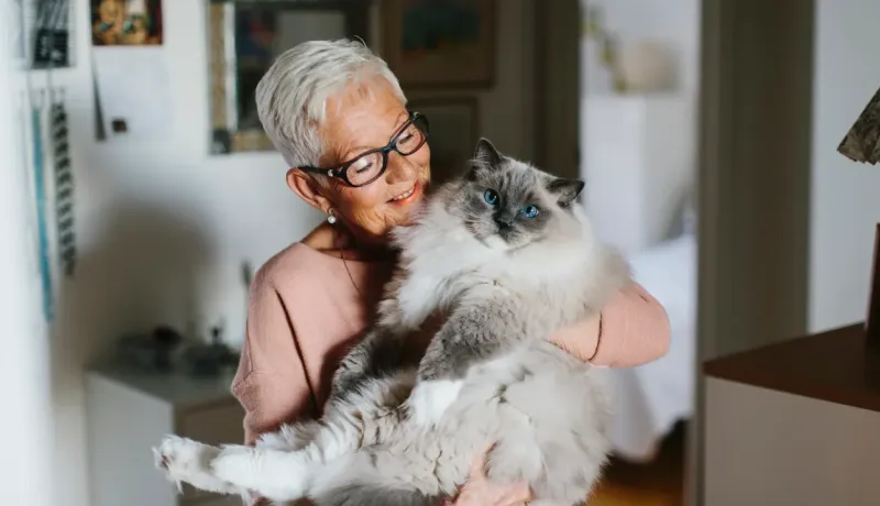 Une femme âgée souriante aux lunettes tient un chat aux yeux bleus dans ses bras.