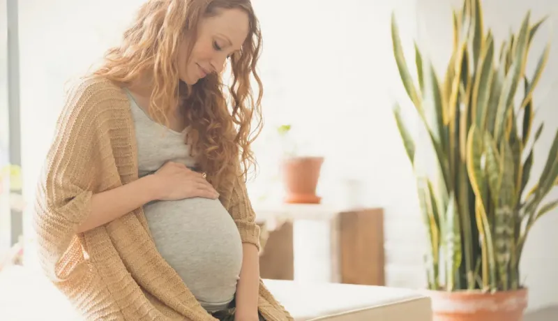 Une femme enceinte au sourire doux, tenant son ventre arrondi à l'intérieur, avec une plante en arrière-plan.