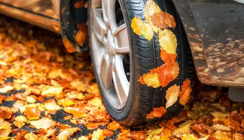 Gros plan d'un pneu de voiture sur une route recouverte de feuilles mortes automnales oranges et jaunes.