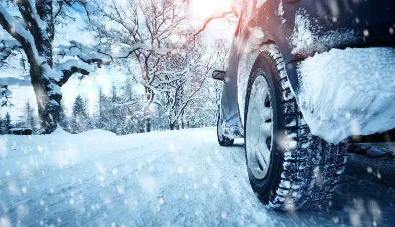 La roue arrière d'une voiture est recouverte de neige sur une route enneigée avec des arbres également enneigés.