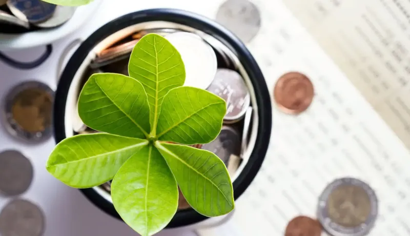 Une jeune pousse verte dans un pot rempli de pièces de monnaie, symbolisant l'épargne responsable.