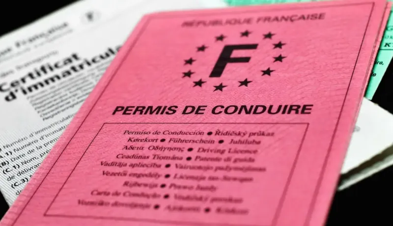 Gros plan sur un permis de conduire français rose vif avec l'inscription "PERMIS DE CONDUIRE".