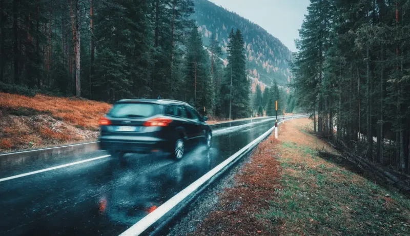 Un break foncé roule sur une route mouillée et bordée de pins, dans un paysage montagneux brumeux.