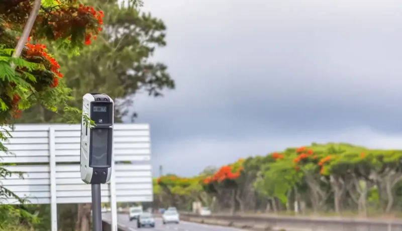 Un radar de vitesse gris et blanc sur le bord d'une route bordée d'arbres, sous un ciel couvert en France.