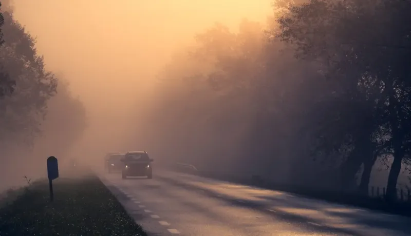Une route rurale brumeuse et éclairée par une lumière dorée, avec des voitures s'approchant dans le brouillard.