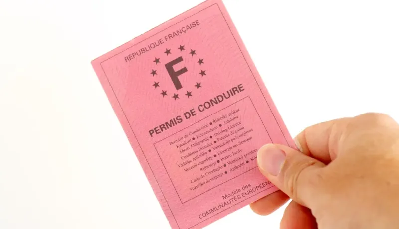 Une main tient un permis de conduire français rose, affichant les étoiles de l'UE et les informations.