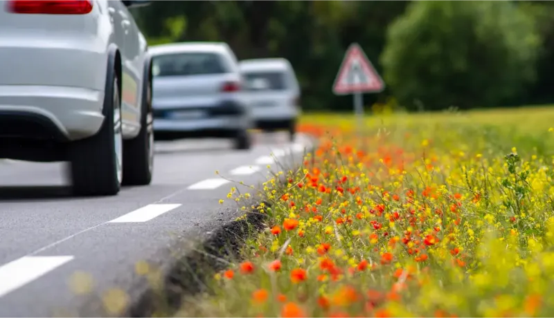 Une rangée de voitures sur une route bordée de fleurs sauvages colorées et d'un panneau de signalisation.