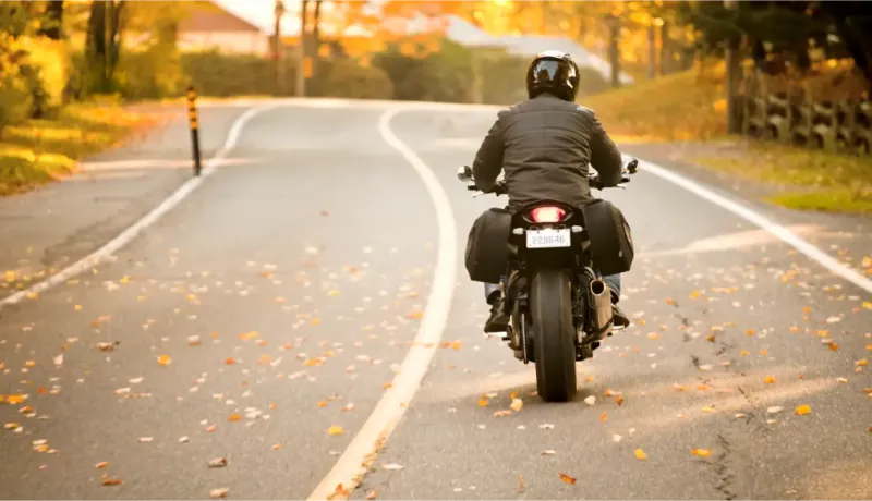 Vue arrière d'un motard sur une route sinueuse bordée d'arbres aux feuilles d'automne.