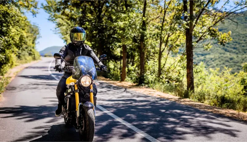 Un motard en casque et blouson de cuir roule sur une route sinueuse bordée d'arbres au soleil.