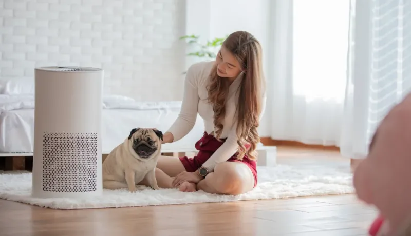 Une femme caresse un carlin assis à côté d'un purificateur d'air blanc dans un intérieur lumineux. Bien-être et animal.