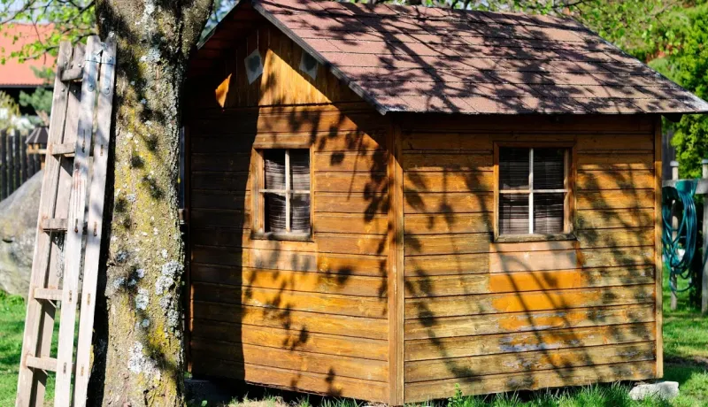 Cabane en bois rustique dans un jardin ensoleillé, adossée à un arbre avec une échelle. Maison de jardin ou jeu.