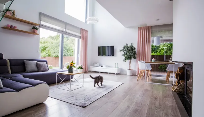 Salon moderne et lumineux avec un grand canapé gris, un sol en bois, et un chat marchant sur un tapis.
