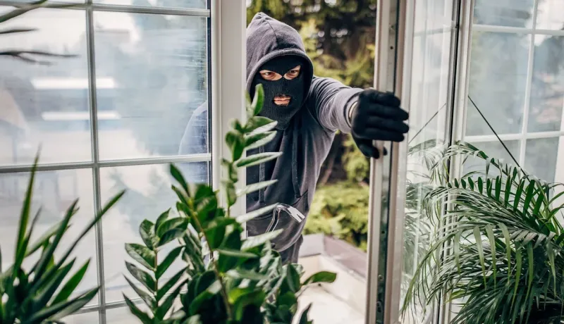 Cambrioleur masqué, vêtu d'un sweat à capuche noir, entrant par une porte-fenêtre. Des plantes sont au premier plan.