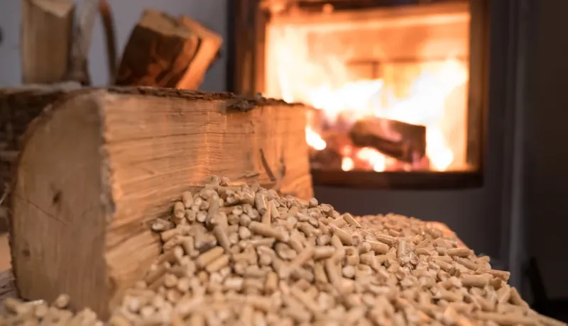 Gros plan sur des granulés de bois (pellets) et une bûche devant un foyer fermé où un feu de bois brûle.