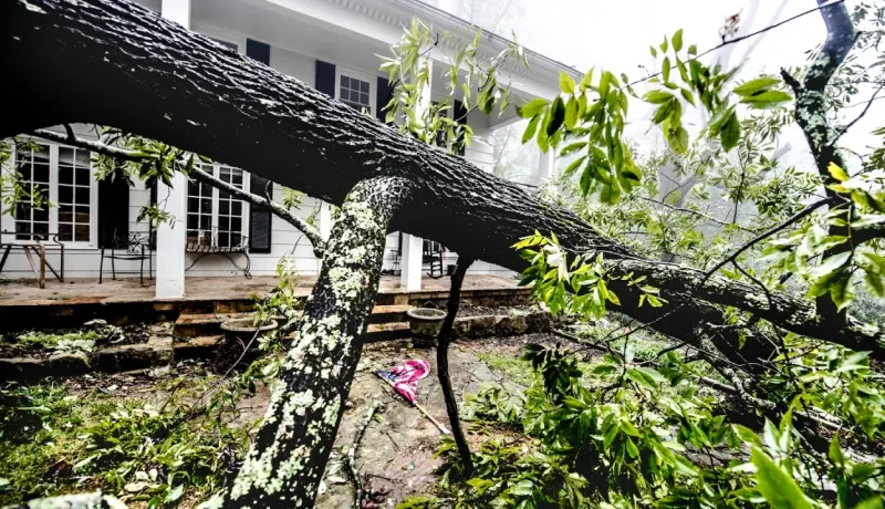 Gros tronc d'arbre tombé sur la pelouse devant le porche d'une maison blanche, dégâts d'une tempête.