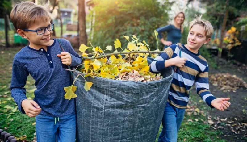 Deux garçons souriants tirant un grand sac rempli de feuilles mortes et de ginkgo dans un jardin. Une femme est en arrière-plan.