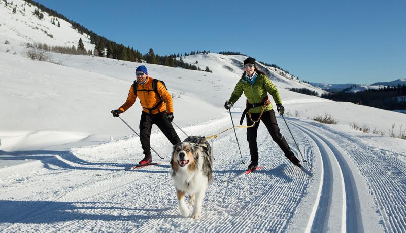 Un couple fait du ski de fond sur une montagne enneigée, accompagné d'un chien.