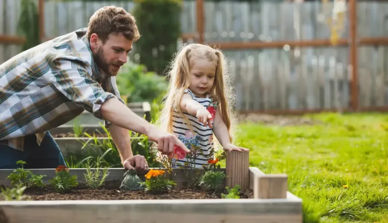 Un homme et une petite fille observent des fleurs dans un bac de jardinage en bois pour une activité sécurisée.