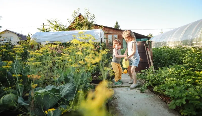 Deux jeunes enfants jouent avec un arrosoir dans un grand jardin potager ensoleillé, près de cultures et de serres.