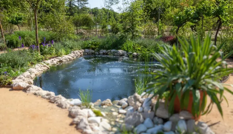Bassin d'eau ou petite mare dans un jardin luxuriant entouré de roches et de végétation.