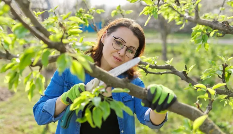 Femme qui scie la branche d'un petit arbre dans son jardin.