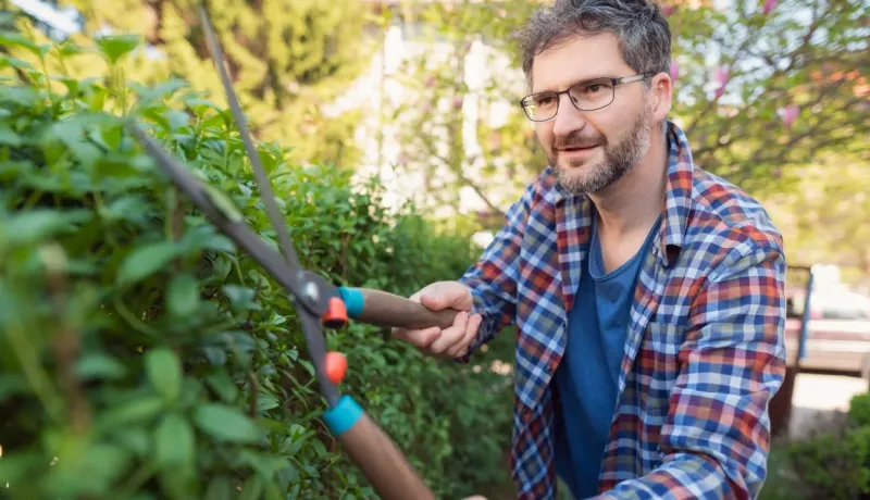 Un homme taille une haie avec une paire de ciseaux dans un jardin ensoleillé.