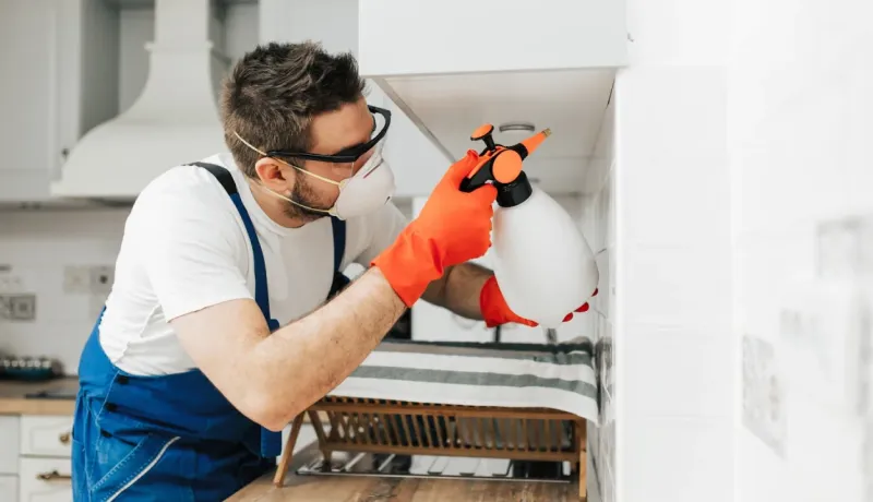 Homme masqué pulvérisant un traitement contre les termites sous un placard de cuisine blanc avec un pulvérisateur.