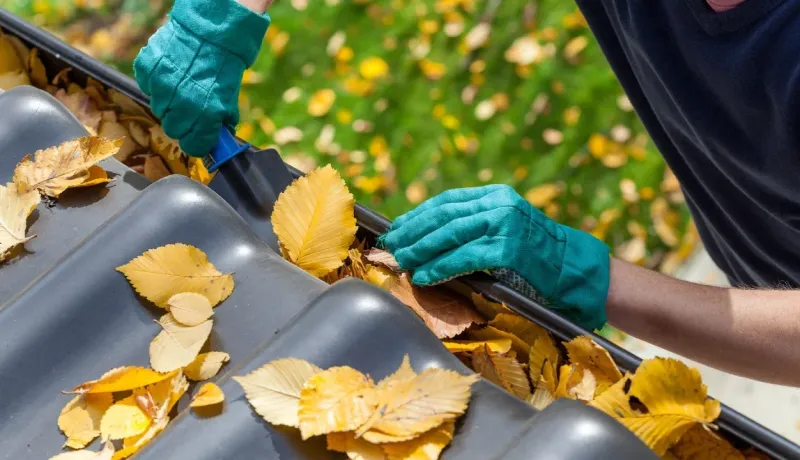 Des mains gantées de vert retirent des feuilles jaunes d'automne et des débris d'une gouttière de toit.