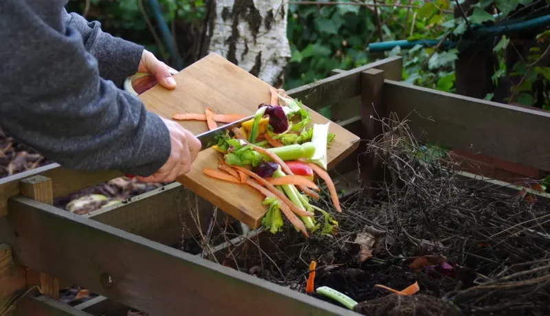 Des restes de légumes sont jetés d'une planche à découper dans un bac à compost en bois à l'extérieur.