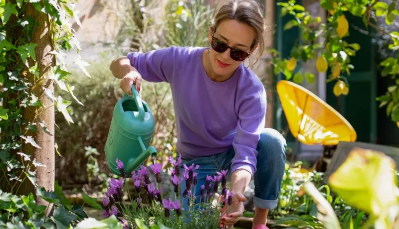 Une femme souriante, portant des lunettes de soleil, arrose des fleurs de lavande dans un jardin ensoleillé avec un arrosoir vert.